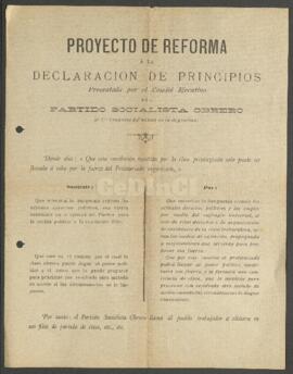 Volante "Proyecto de reforma a la Declaración de Principios presentada por el Comité Ejecuti...